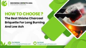 Best Shisha Charcoal