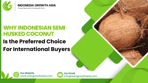 Indonesian Semi Husked Coconut